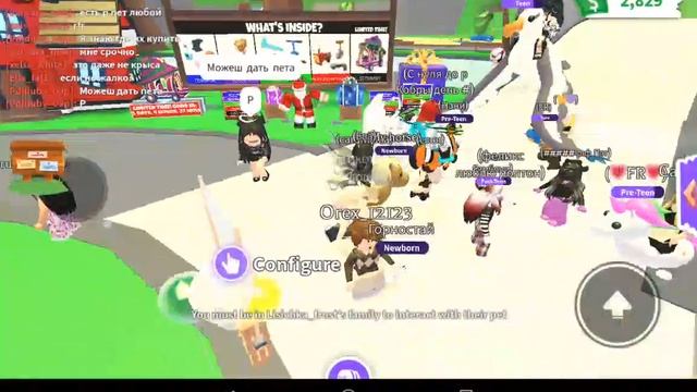 Adopt Me трейдим стойку с лимонадом/что дают за стойку Adopt Me