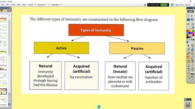 A2 Biology - Immunity смотреть онлайн