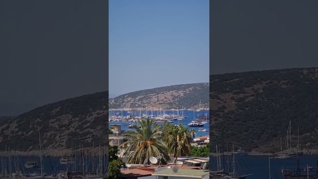 6 Июля - Сегодня 8-е лунные сутки и 7-ой день растущей луны! смотреть онлайн