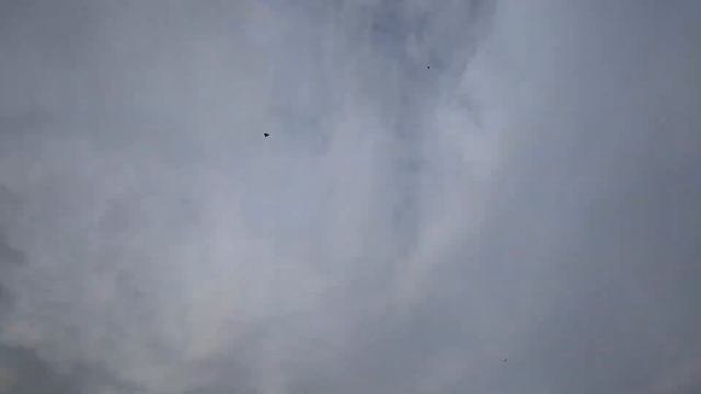 Режим для голубей это + смотреть онлайн