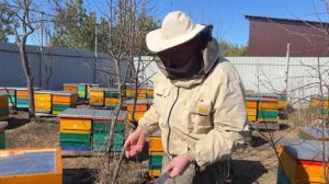 ПЕРВЫЕ ВАЖНЫЕ РАБОТЫ