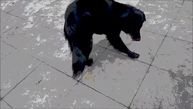 mini movie of Leah and Dominika смотреть онлайн