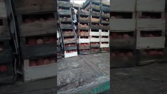 ГАЗ 53 дальнобой, персики смотреть онлайн