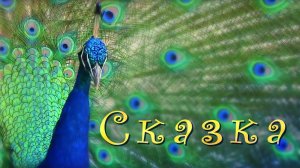 Сказка - Наталия Лансере - детская песня - сказка  Клип - Удивительная природа