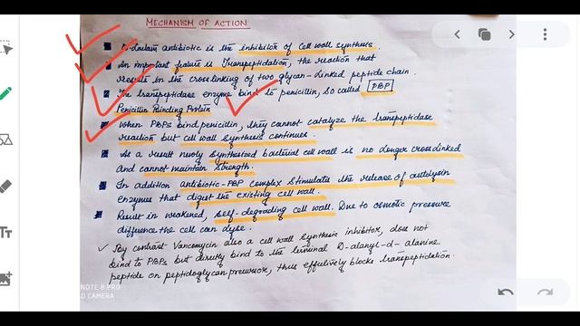 Beta lactam antibiotic. 12.04.2020 смотреть онлайн