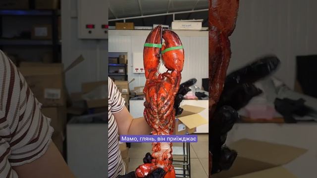 #обзор #бокс #food #джерки #еда #снеки #рыба #sushi #рецепты #fish #лобстер #lobster смотреть онлайн