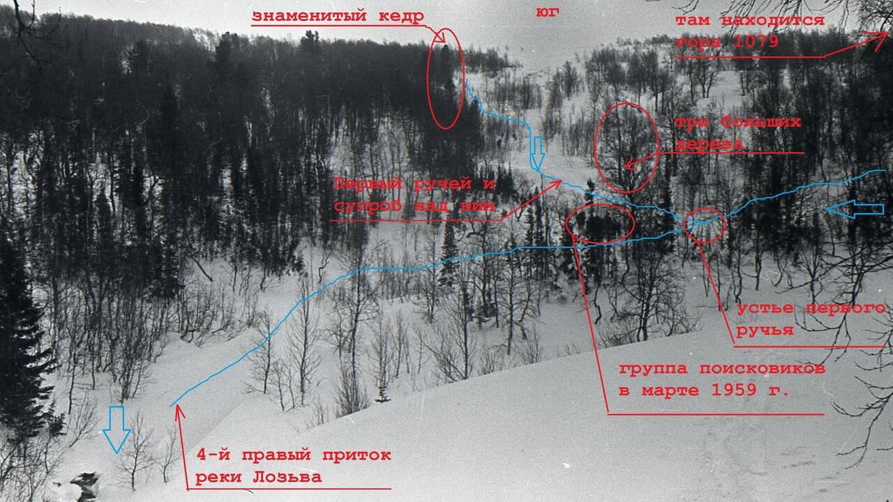 🔴Перевал Дятлова. Стрим. Кедр, ручей, настил 🔴