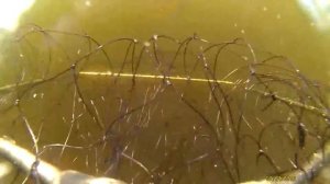 Лето 2016. Рыбалка на Кольском п-ве.