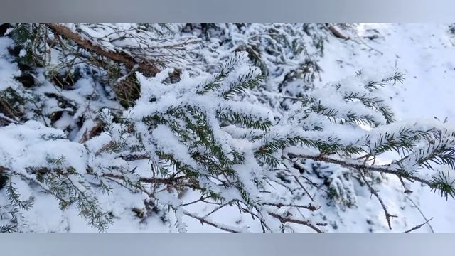 Зимние зарисовки ❄ смотреть онлайн