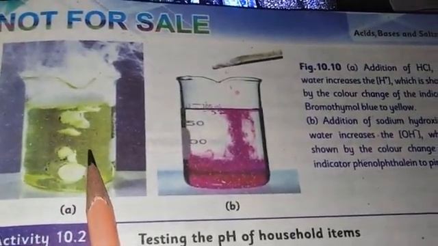 Numerical of PH & POH Class 10 Chemistry смотреть онлайн