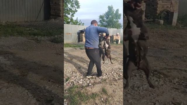 Каха♥️Дарси смотреть онлайн