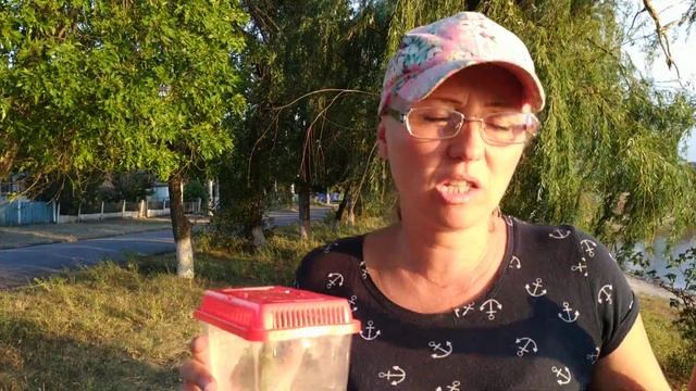 Едем домой с Кропивницкого... смотреть онлайн