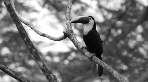 1. 01. З.Миркина. Озеро Сариклен.Часть первая.