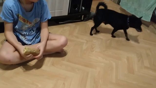 ДимОн и волшебный хот-дог, собака поёт, плакать хочется 😭😭😭 смотреть онлайн