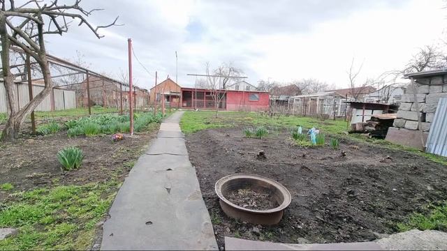 Прямой Эфир и Голуби смотреть онлайн