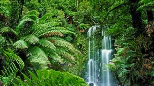 Old School Atmospheric Intelligent Jungle / Drum & Bass Mix (Amen Breaks) смотреть онлайн