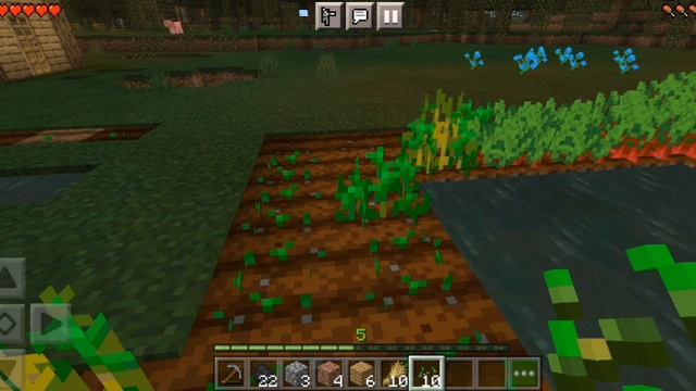 выжывание в майнкрафте 2