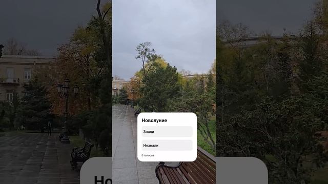 1 декабря - НОВОЛУНИЕ смотреть онлайн