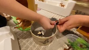 Игрушечный зоопарк