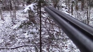 Брожу по тайге  Глухаринные наброды