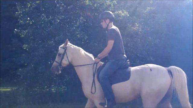 Stopping on a loose rein full version смотреть онлайн