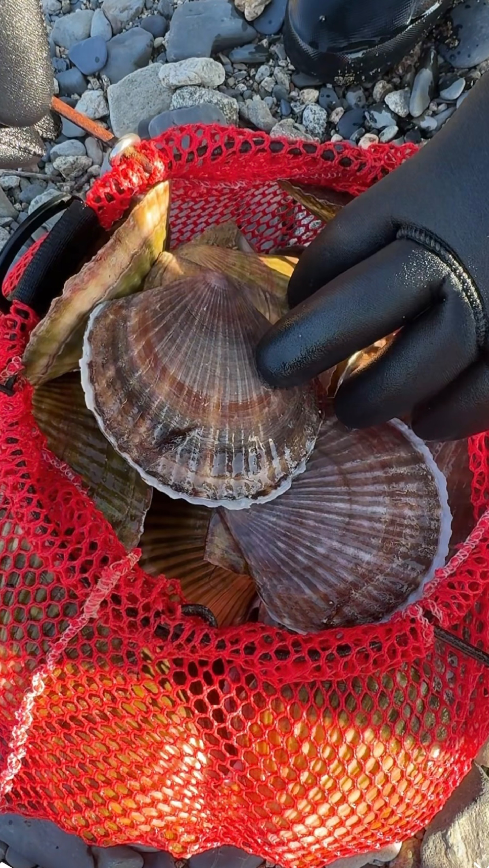 Неборецкий Андрей, зубной техник