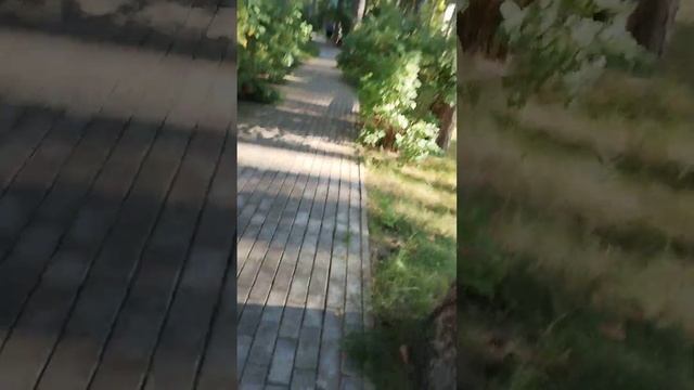 29 июля 2023 г. смотреть онлайн