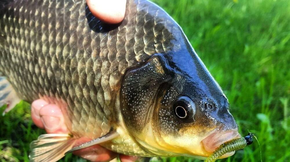 без ыыыыыпотеки 108