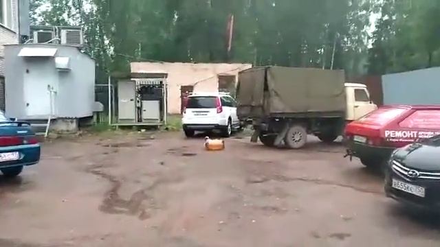Доигралась смотреть онлайн
