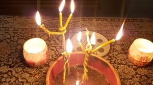 Ёлка - Дерево Смерти