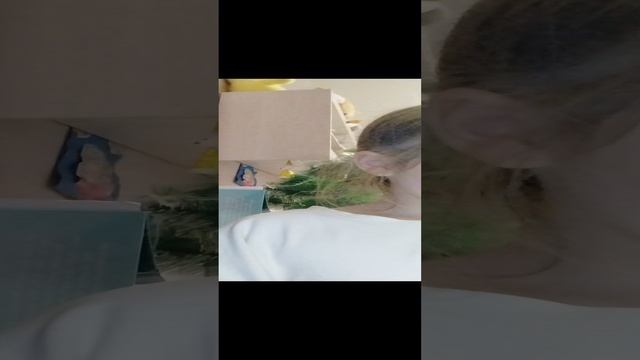 VID_20241223_215438.mp4