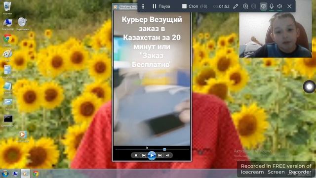 три кошака и пицца и три кошака и гусь и три кошака и маквин смотреть онлайн