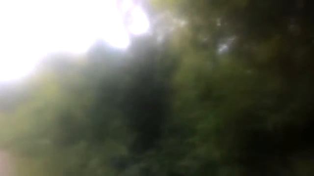 Тайная. Жизнь. Собак смотреть онлайн