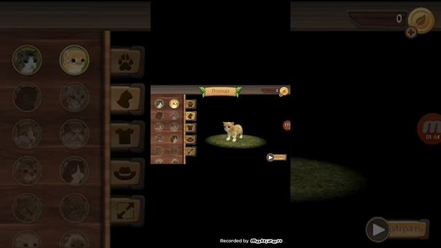 Симулятор кошки Онлайн #1 смотреть онлайн