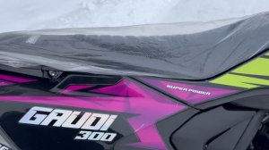 Обзор мотоцикла эндуро Progasi Gaudi 300 new. Обновленная модель!