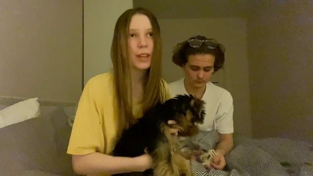 эра родителей или наша жизнь с маленьким йорком :) смотреть онлайн