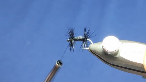 Fly tying a Dry Fly Black Gnat