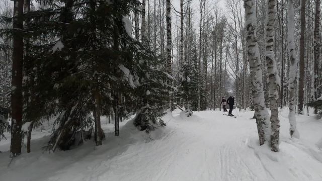GX010244 смотреть онлайн