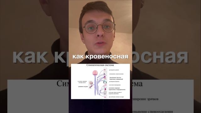 Как появилось выражение «у страха глаза велики»? #биологияегэ #анатомия #биология