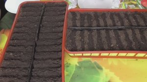 Посев томатов. Мастер - класс для начинающих. Огородная азбука Ольги Черновой.