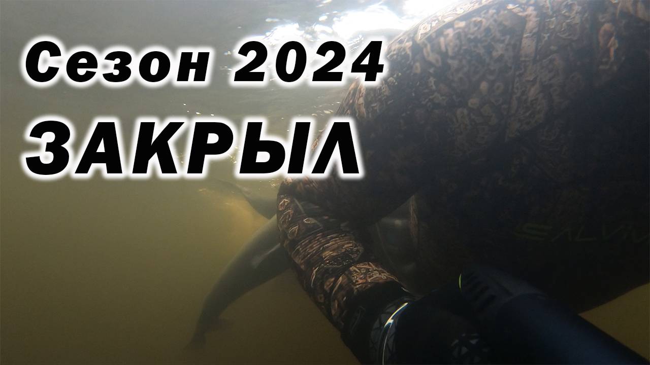 ОТЛИЧНО ЗАКРЫЛ СЕЗОН ПОДВОДНОЙ ОХОТЫ 2024!!! смотреть онлайн