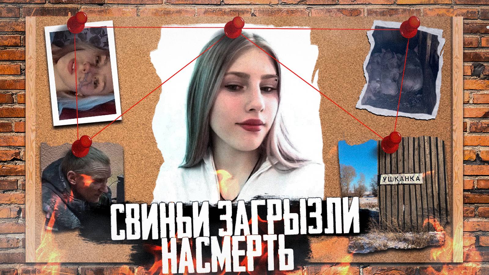 ДЕЛО О ГИБЕЛИ МИЛЕНЫ ШЕВЕЛЕВОЙ В ХЛЕВУ СО СВИНЬЯМИ Как следствие вышло на убийцу девушки в сарае смотреть онлайн