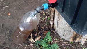 Вермикомпостер, вермичай, биогумус. черви старатели, вермиферма.