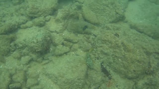 SunSet Beach (Nang Thongh) KhaoLak Snorkeling (Снорклинг)