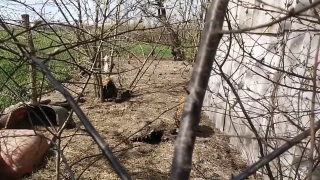 жарко, как в мае смотреть онлайн