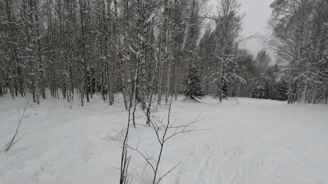 GX010251 смотреть онлайн