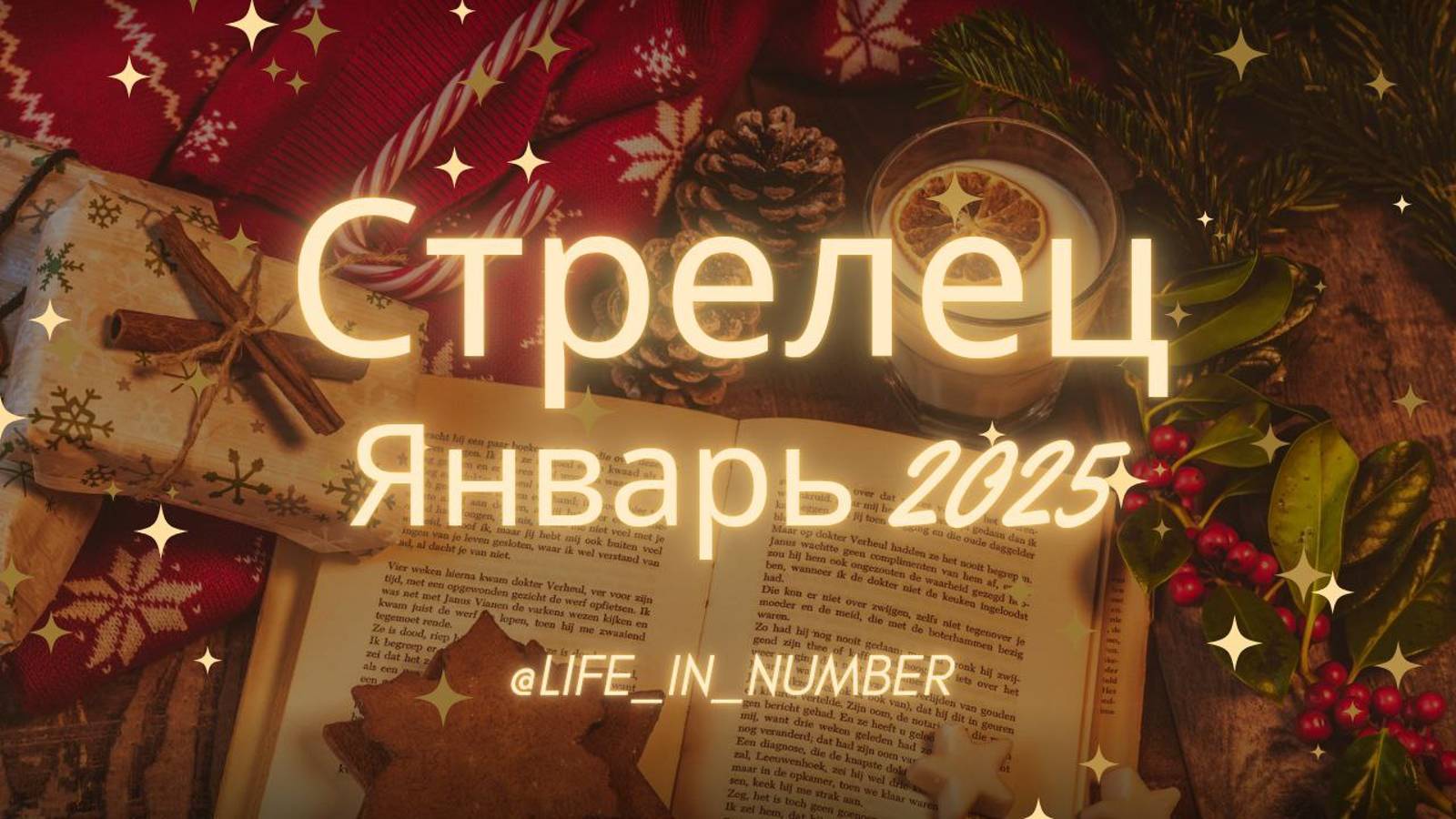 СТРЕЛЕЦ ♐ЯНВАРЬ 2025❄️ смотреть онлайн