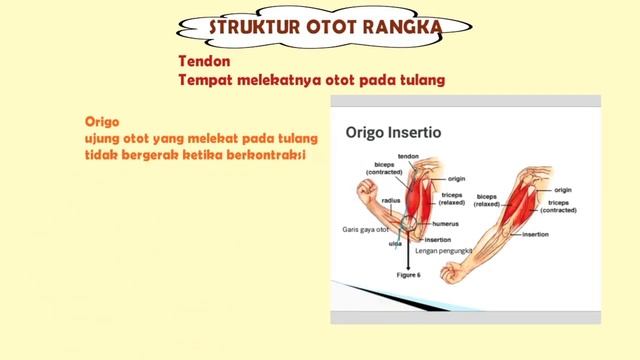 Sistem Gerak 2 смотреть онлайн
