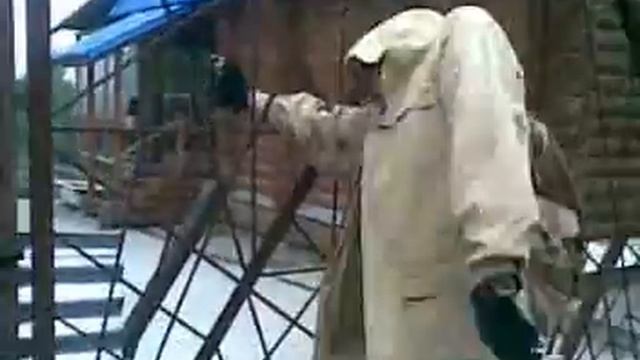 STALKER баг смотреть онлайн