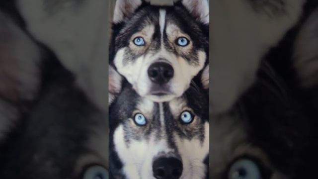 Beautiful смотреть онлайн